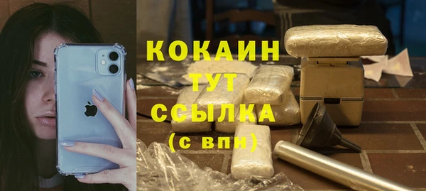 стаф Абаза