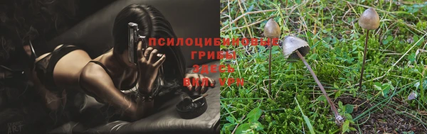 стаф Абаза