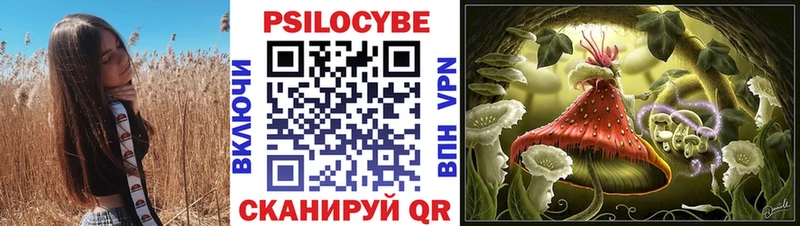 Галлюциногенные грибы Magic Shrooms  Чердынь 